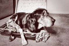 7 Must Haves When Tr