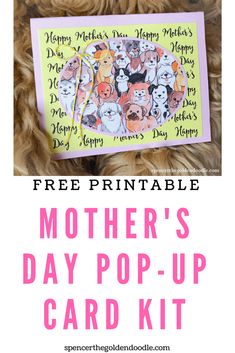 DIY Mother's Day Car