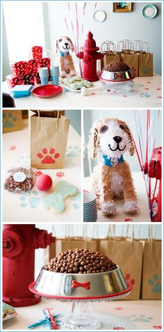 Real Party: Puppy Bi