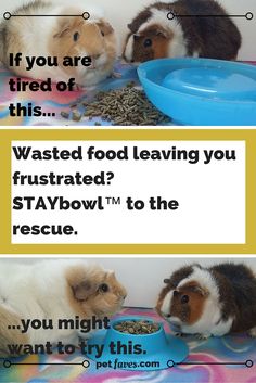 Wasted food leaving