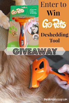 Dog Grooming Tools b