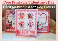Valentine's Day Card