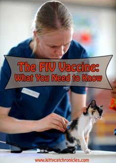 The FIV Vaccine: Wha