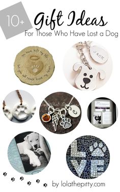 10+ Gift Ideas for t