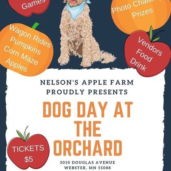 Calling all Minnesota Dogs! I'm co-hosting a "Dog Day at the Orchard" event with @nelsonsapplefarm! On September 24th from 10am to 6pm there will be dog themed vendors, a photo challenge with prizes, games, wagon rides, a corn maze, pumpkin patches, apple orchard and much more. Visit my FB page to learn more!!! 🍎🍏🍎🍏🍎🍏🍎🍏🍎🍏🍎#spencer #spencerthegoldendoodle #doodle #doodlesofinstagram #goldendoodle #goldendoodlesofinstagram #dog #dogs #dogsofig #dogsofinstgram #dogsofthenorth #dogsofminneapolis #dogsofminnesota #dogsofmn #minnesota #minnesotadogs #minnesotadoodle #minnesotagoldendoodles #mndoodles #mngoldendoodle #mndog #dogevent #mydogisasidewalkdog #dogsofstpaul